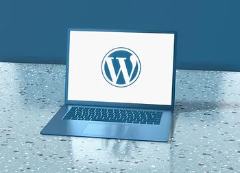 Beginner's Guide: Dive into WordPress, the Leading CMS Globally